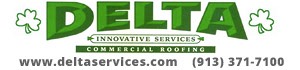 Delta Services logo